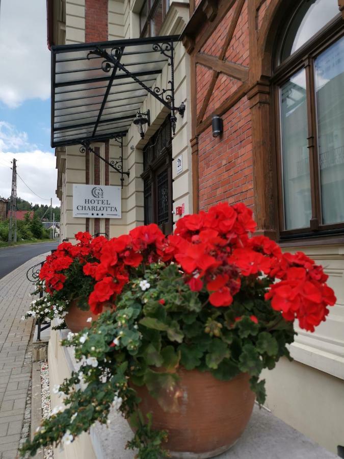 Hotel Charlotta Jedlina-Zdrój Kültér fotó